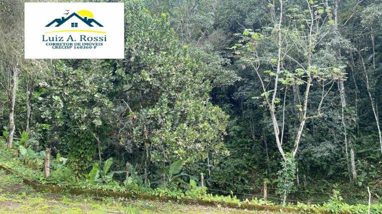 Imagem Chácara com 7 Quartos à Venda, 300 m² em Fazendinha - Itariri Imagem Chácara com 7 Quartos à Venda, 300 m² em Fazendinha - Itariri