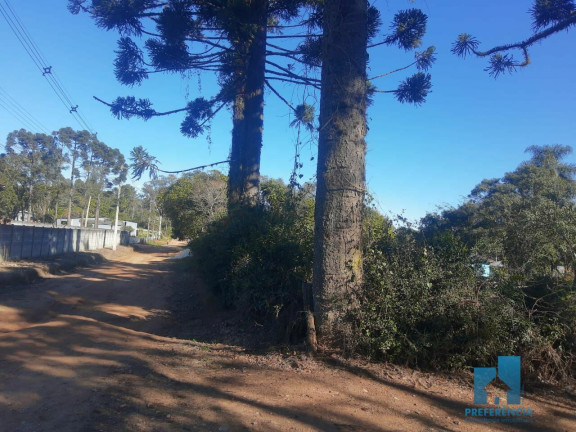 Imagem Imóvel com 2 Quartos à Venda, 100 m² em Guaragi - Ponta Grossa Imagem Imóvel com 2 Quartos à Venda, 100 m² em Guaragi - Ponta Grossa