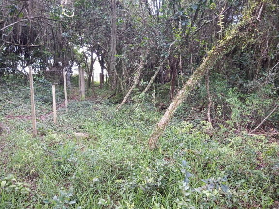 Imagem Chácara à Venda, 20.000 m² em águas Claras - Viamão
