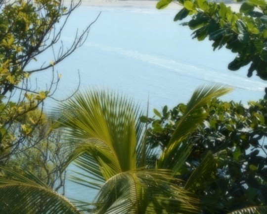 Imagem Imóvel com 6 Quartos à Venda, 700 m² em Península - Guarujá Imagem Imóvel com 6 Quartos à Venda, 700 m² em Península - Guarujá