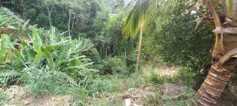 Imagem Terreno à Venda, 456 m² em São Francisco Da Praia - São Sebastião Imagem Terreno à Venda, 456 m² em São Francisco Da Praia - São Sebastião