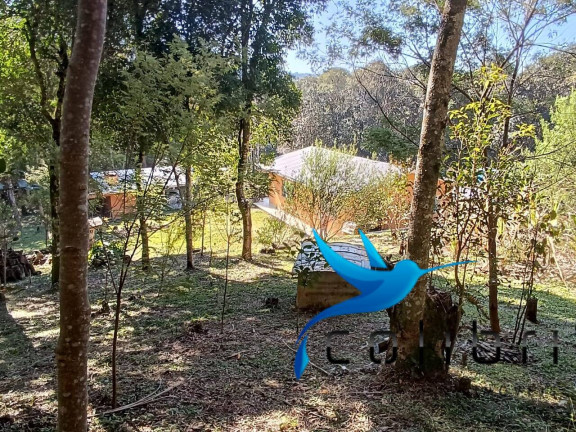 Imagem Chácara com 2 Quartos à Venda, 6.000 m² em Palmital - Agudos Do Sul Imagem Chácara com 2 Quartos à Venda, 6.000 m² em Palmital - Agudos Do Sul