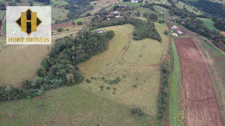 Imagem Chácara com 3 Quartos à Venda, 145.000 m² em Santo Antônio - Chapecó Imagem Chácara com 3 Quartos à Venda, 145.000 m² em Santo Antônio - Chapecó