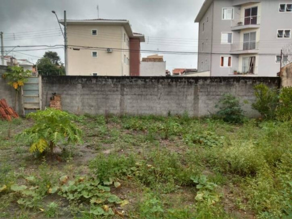 Imagem Terreno à Venda, 245 m² em Vila Aparecida - Taubaté