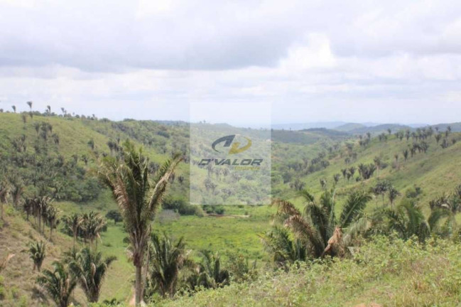 Imagem Terreno à Venda, 900 m² em Maia - Bananeiras Imagem Terreno à Venda, 900 m² em Maia - Bananeiras