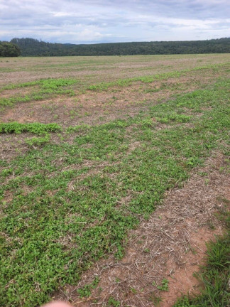 Imagem Chácara à Venda, em Zona Rural - Aparecida Do Taboado Imagem Chácara à Venda, em Zona Rural - Aparecida Do Taboado