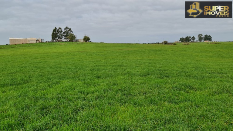 Imagem Imóvel com 3 Quartos à Venda, 2.000.000 m² em Colônia Nova - Aceguá