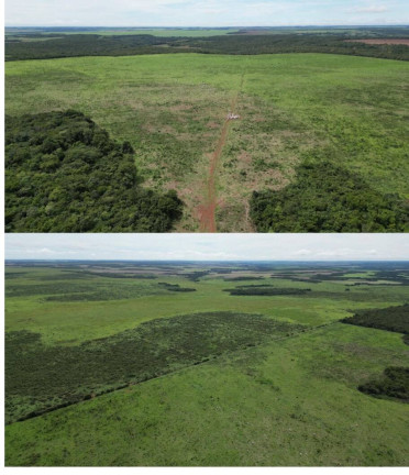 Fazenda à Venda, 204 m² em Centro - água Boa