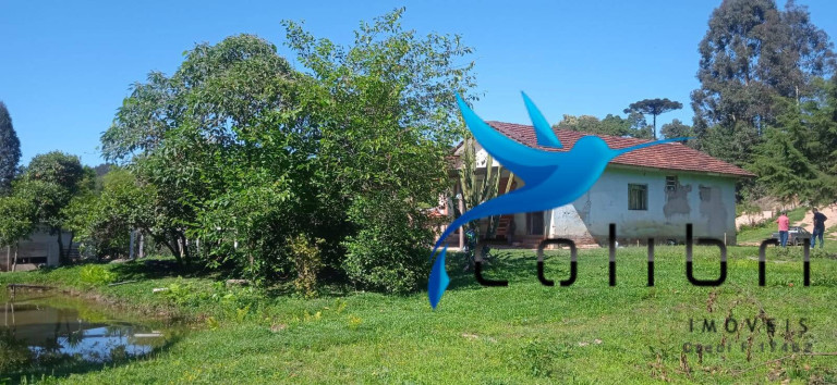 Imagem Chácara com 3 Quartos à Venda, 10.300 m² em Agua Clara - Quitandinha Imagem Chácara com 3 Quartos à Venda, 10.300 m² em Agua Clara - Quitandinha
