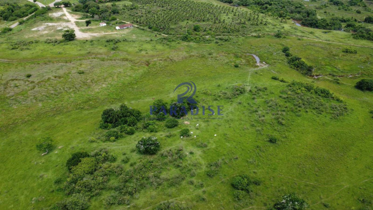 Imagem Fazenda à Venda, 2.114.000 m² em Zona Rural - Itanagra Imagem Fazenda à Venda, 2.114.000 m² em Zona Rural - Itanagra