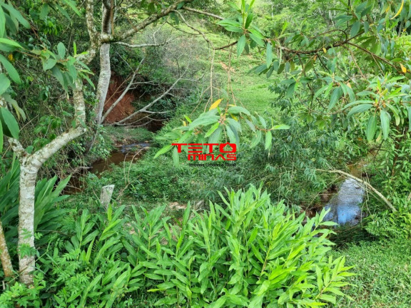 Imagem Imóvel à Venda, em Pouso Alto - Pouso Alto Imagem Imóvel à Venda, em Pouso Alto - Pouso Alto