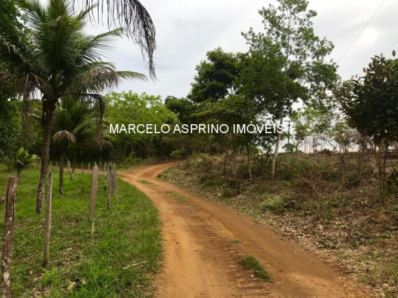 Imóvel à Venda, 1.000 m² em Jeribucaçu - Itacaré