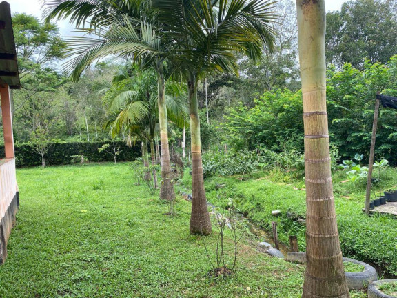 Imagem Chácara com 2 Quartos à Venda, 200 m² em Laranja Azeda - Itariri Imagem Chácara com 2 Quartos à Venda, 200 m² em Laranja Azeda - Itariri