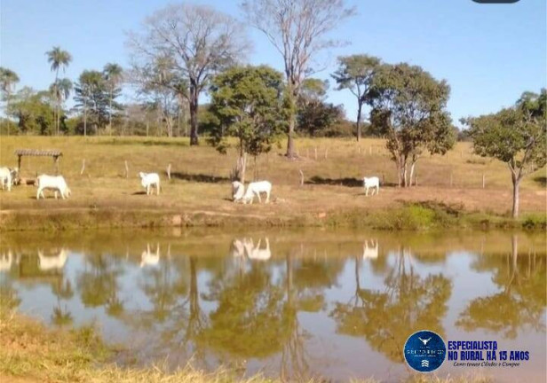Imagem Chácara à Venda, 14 m² em Zona Rural - Pirenópolis Imagem Chácara à Venda, 14 m² em Zona Rural - Pirenópolis