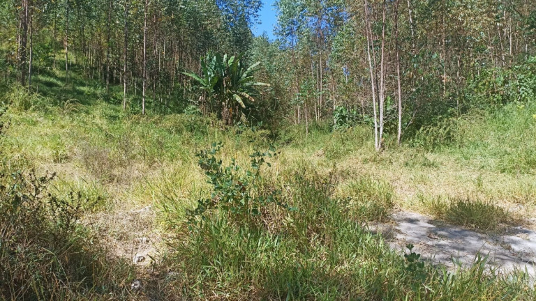 Imagem Chácara com 1 Quarto à Venda, 200 m² em Mirandão - Paraibuna