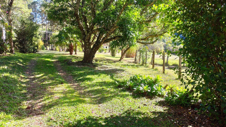 Imagem Chácara com 10 Quartos à Venda, 250 m² em Parque Fernão Dias - Atibaia Imagem Chácara com 10 Quartos à Venda, 250 m² em Parque Fernão Dias - Atibaia