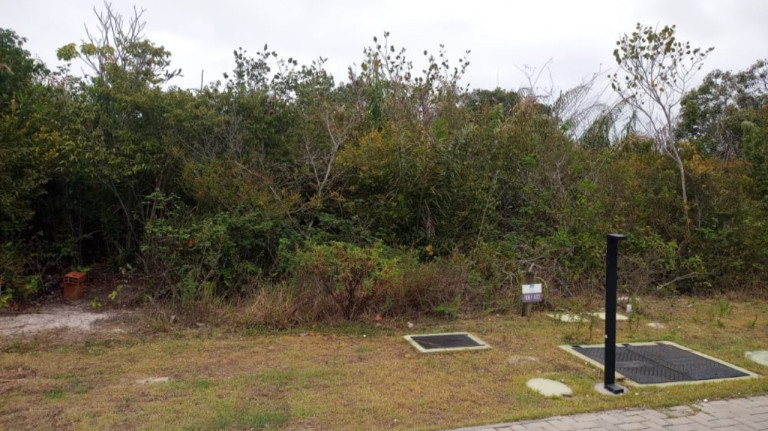 Terreno à Venda, 700 m² em Praia Do Forte - Mata De São João