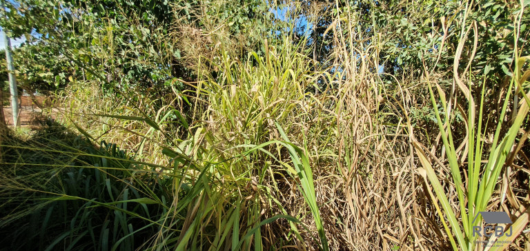 Imagem Terreno à Venda, 980 m² em Fernão Dias - Esmeraldas Imagem Terreno à Venda, 980 m² em Fernão Dias - Esmeraldas