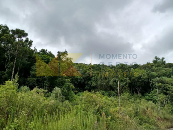 Imagem Fazenda à Venda, 64.288 m² em Barra Avencal - Rio Dos Cedros