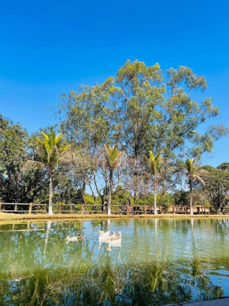 Imagem Fazenda à Venda, 1 m² em Zona Rural - Ipameri Imagem Fazenda à Venda, 1 m² em Zona Rural - Ipameri