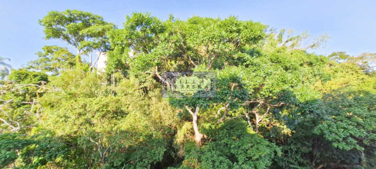 Imagem Cobertura com 1 Quarto à Venda, 50 m² em Santa Teresa - Rio De Janeiro Imagem Cobertura com 1 Quarto à Venda, 50 m² em Santa Teresa - Rio De Janeiro