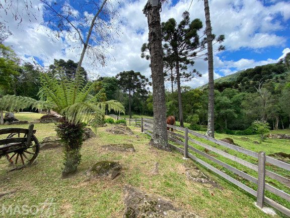 Imagem Chácara com 3 Quartos à Venda, 15.000 m² em Linha Araripe A - Gramado Imagem Chácara com 3 Quartos à Venda, 15.000 m² em Linha Araripe A - Gramado