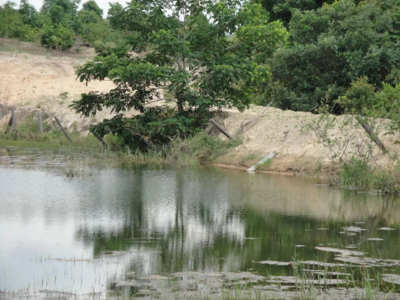Imagem Fazenda à Venda, 500 m² em Zona Rural - Paranatinga Imagem Fazenda à Venda, 500 m² em Zona Rural - Paranatinga