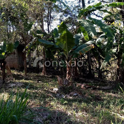 Imagem Chácara com 3 Quartos à Venda, 300 m² em Cedro - Paraibuna Imagem Chácara com 3 Quartos à Venda, 300 m² em Cedro - Paraibuna