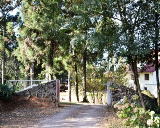Imagem Imóvel com 4 Quartos à Venda, em Piá - Nova Petrópolis Imagem Imóvel com 4 Quartos à Venda, em Piá - Nova Petrópolis