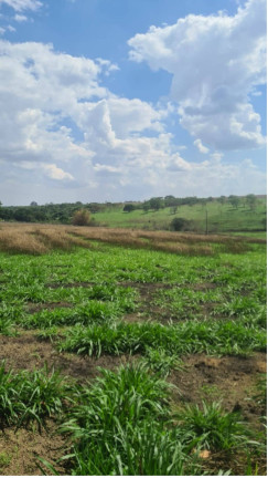 Imagem Fazenda à Venda, 1 m² em Girassol - Cocalzinho De Goiás Imagem Fazenda à Venda, 1 m² em Girassol - Cocalzinho De Goiás