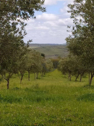 Imagem Imóvel à Venda, 460.000 m² em Centro - Pantano Grande Imagem Imóvel à Venda, 460.000 m² em Centro - Pantano Grande