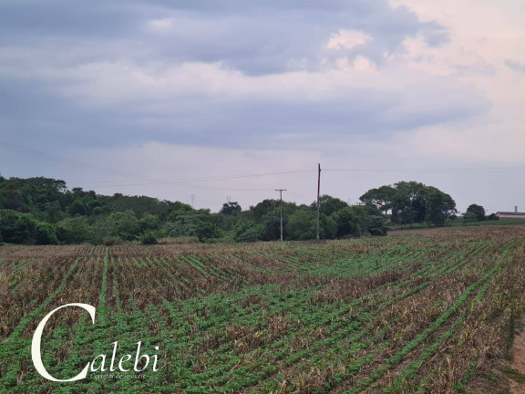 Imagem Chácara à Venda, 7 m² em área Rural De Conchal - Conchal Imagem Chácara à Venda, 7 m² em área Rural De Conchal - Conchal