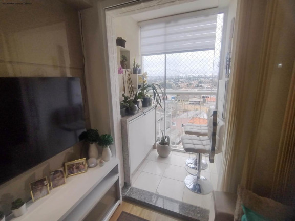 Imagem Apartamento com 3 Quartos à Venda, 68 m² em Guaíra - Curitiba