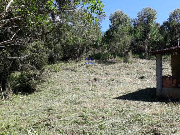 Imagem Imóvel com 2 Quartos à Venda, 60 m² em Rural - Campo Magro Imagem Imóvel com 2 Quartos à Venda, 60 m² em Rural - Campo Magro