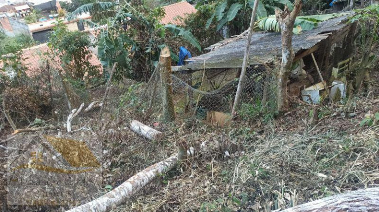 Imagem Terreno à Venda, 7.800 m² em Varginha - Nova Friburgo Imagem Terreno à Venda, 7.800 m² em Varginha - Nova Friburgo