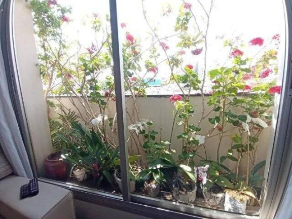 Imagem Apartamento com 3 Quartos à Venda, 110 m² em Ipiranga - São Paulo Imagem Apartamento com 3 Quartos à Venda, 110 m² em Ipiranga - São Paulo
