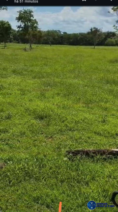 Imagem Fazenda à Venda, 320 m² em Zona Rural - Novo São Joaquim Imagem Fazenda à Venda, 320 m² em Zona Rural - Novo São Joaquim