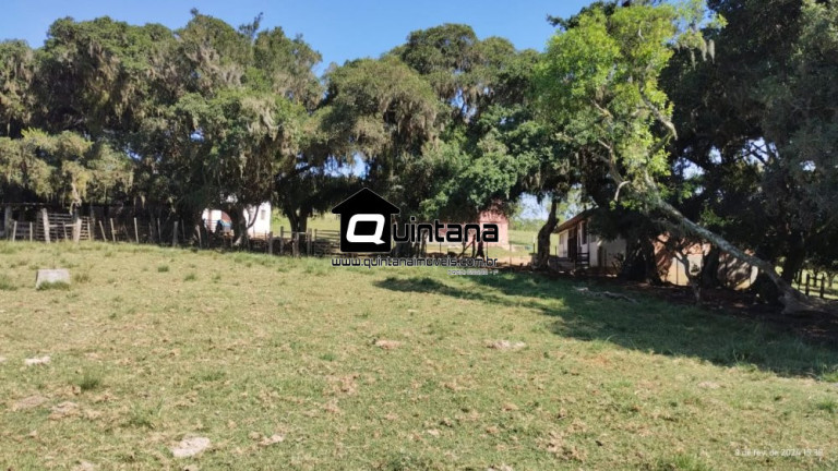 Imagem Imóvel com 2 Quartos à Venda, 180.000 m² em Capela Da Buena - Morro Redondo Imagem Imóvel com 2 Quartos à Venda, 180.000 m² em Capela Da Buena - Morro Redondo