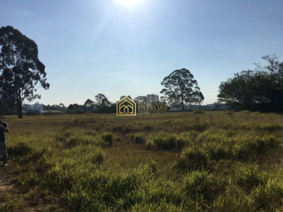 Imagem Terreno à Venda ou Locação, 28.000 m² em Cooperativa - São Bernardo Do Campo Imagem Terreno à Venda ou Locação, 28.000 m² em Cooperativa - São Bernardo Do Campo