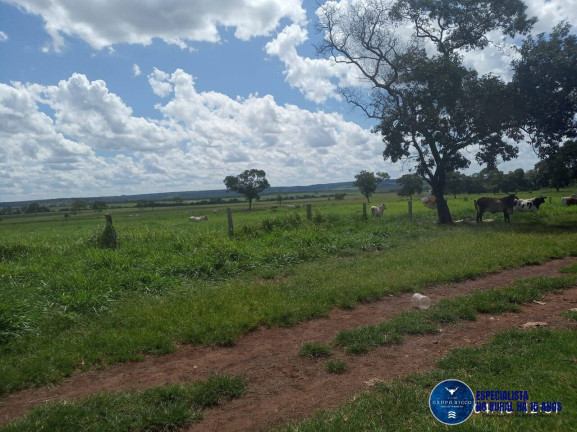 Imagem Fazenda à Venda, 195 m² em Zona Rural - Ribeirão Cascalheira Imagem Fazenda à Venda, 195 m² em Zona Rural - Ribeirão Cascalheira