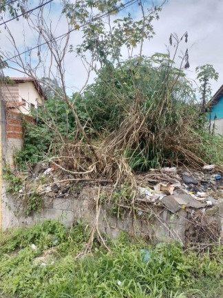Imagem Terreno à Venda, 162 m² em Cidade Edson - Suzano Imagem Terreno à Venda, 162 m² em Cidade Edson - Suzano