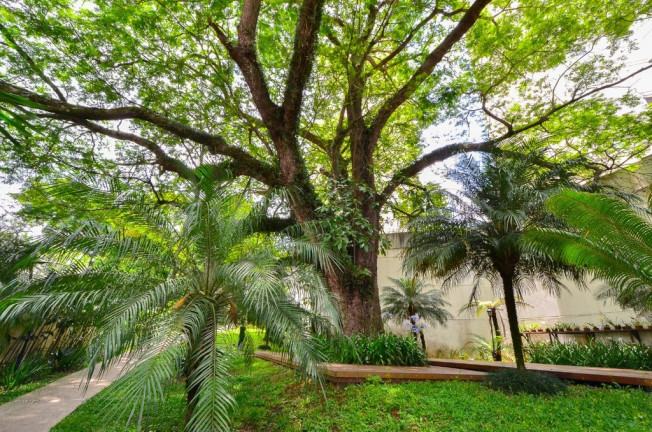 Imagem Cobertura com 4 Quartos à Venda, 210 m² em Vila Sofia - São Paulo Imagem Cobertura com 4 Quartos à Venda, 210 m² em Vila Sofia - São Paulo