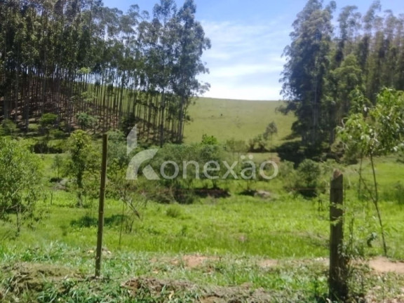 Imagem Fazenda à Venda, 200 m² em Centro - Paraibuna Imagem Fazenda à Venda, 200 m² em Centro - Paraibuna