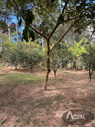 Imagem Chácara com 4 Quartos à Venda, 250 m² em Mascate - Nazaré Paulista