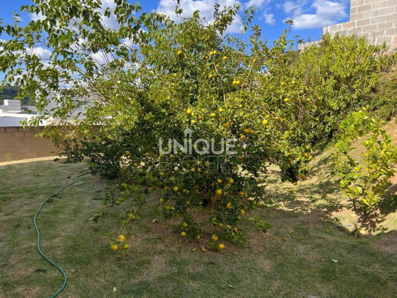 Imagem Casa de Condomínio com 4 Quartos à Venda, 1.132 m² em Jundiaí Mirim - Jundiaí Imagem Casa de Condomínio com 4 Quartos à Venda, 1.132 m² em Jundiaí Mirim - Jundiaí