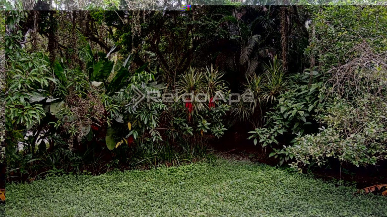 Imagem Chácara com 4 Quartos à Venda, 6.000 m² Imagem Chácara com 4 Quartos à Venda, 6.000 m²