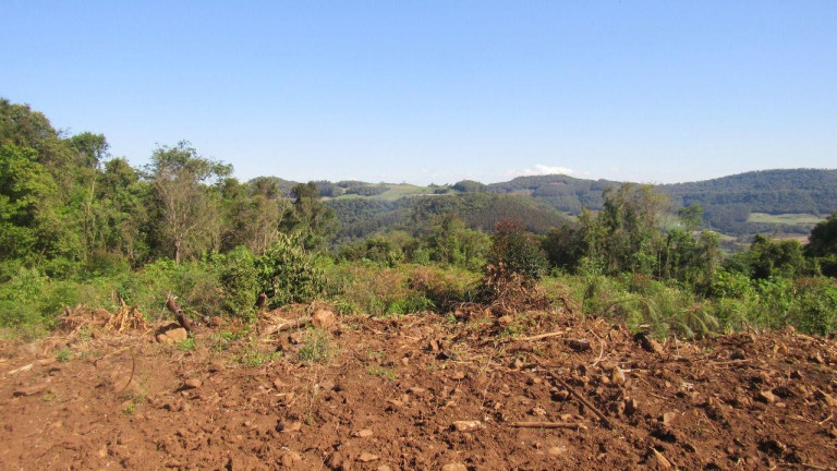 Imagem Casa com 1 Quarto à Venda, 36.000 m² em Centro - Lindóia Do Sul Imagem Casa com 1 Quarto à Venda, 36.000 m² em Centro - Lindóia Do Sul