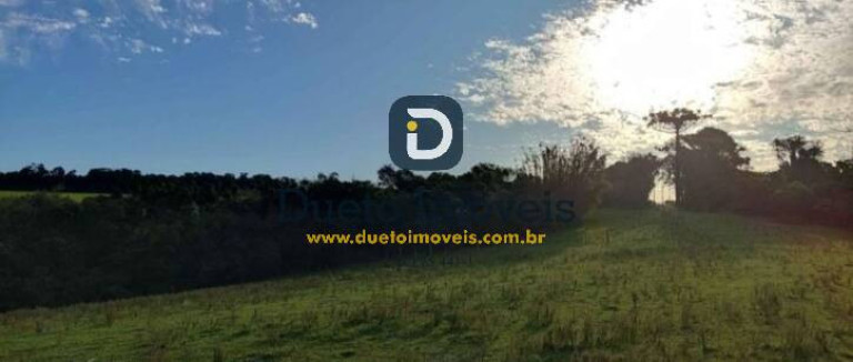 Imagem Terreno à Venda, 45.000 m² em Tancredo Neves - Santa Maria