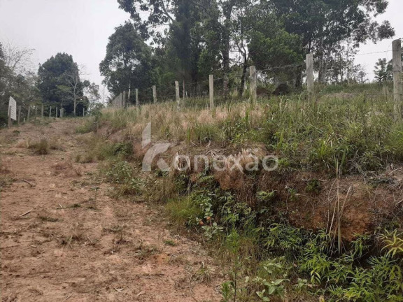 Imagem Chácara com 2 Quartos à Venda, 200 m² em Macaco - Paraibuna Imagem Chácara com 2 Quartos à Venda, 200 m² em Macaco - Paraibuna