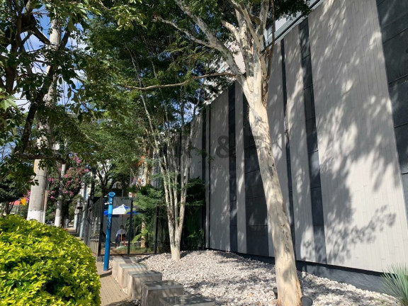 Imagem Apartamento com 1 Quarto à Venda, 70 m² em Campo Belo - São Paulo Imagem Apartamento com 1 Quarto à Venda, 70 m² em Campo Belo - São Paulo